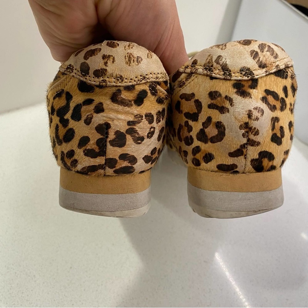 Jeffery Campbell Animal Print Sneaker Trainer Shoes sz 6 - Picture 6 of 8